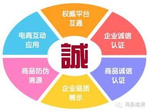商品追溯 信息系统集成服务为企业带来的挑战与机遇